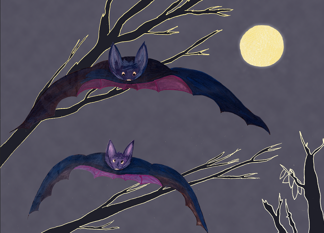 two bats in the nigh, trees, fullmoon